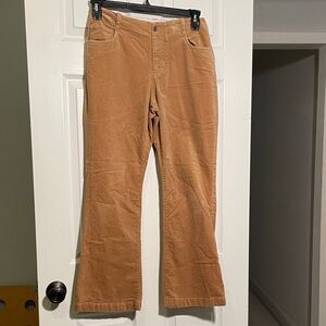 Land’s End faux suede velvet/velveteen jeans.